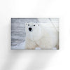 Animal Polar Bear Tempered Glass Wall Art - MyPhotoStation