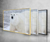 Animal Polar Bear Tempered Glass Wall Art - MyPhotoStation