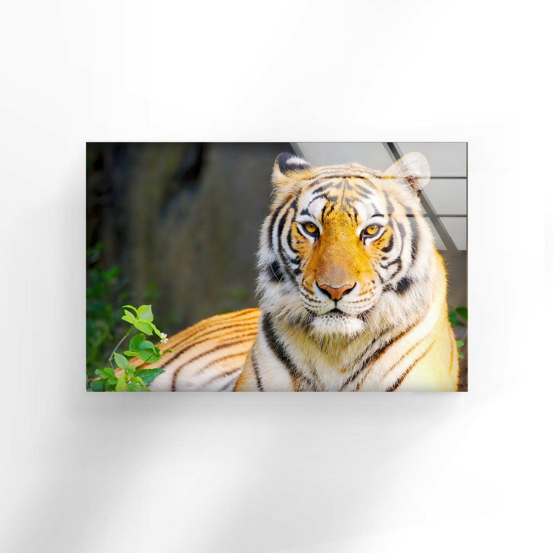 Wildlife Tiger Glass Wall Art stained glass wall art, stained glass wall decor