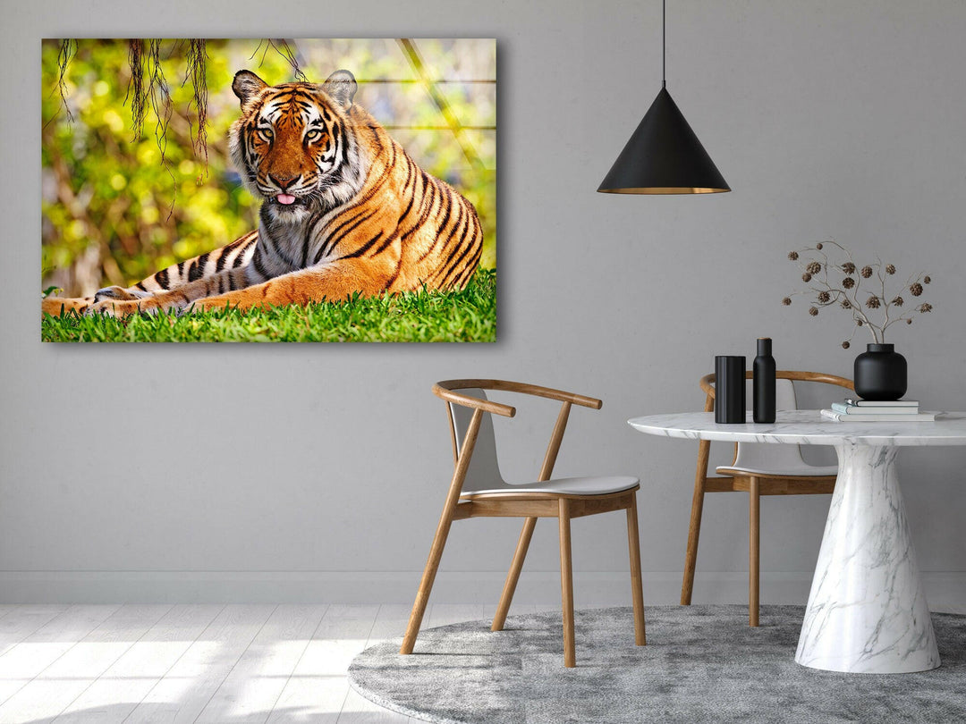 A Tiger on The Grass Glass Wall Art glass pictures for Wall, glass prints wall art