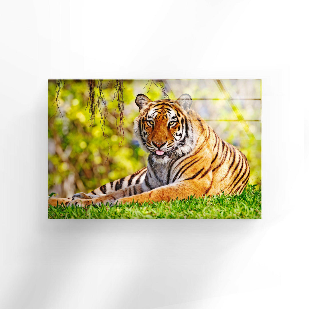 A Tiger on The Grass Glass Wall Art custom glass pictures, glass art prints