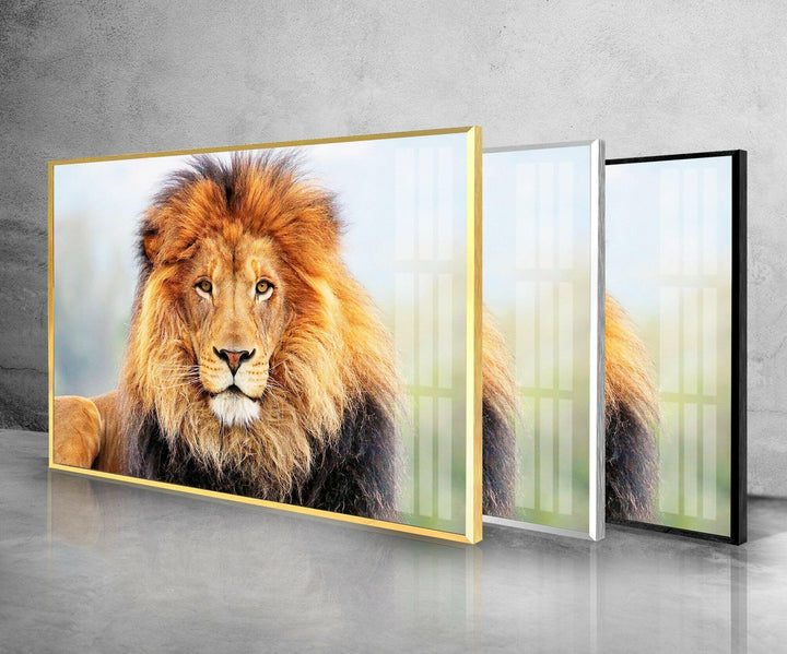 Lion King View Glass Wall Art large glass photo prints, glass wall photos