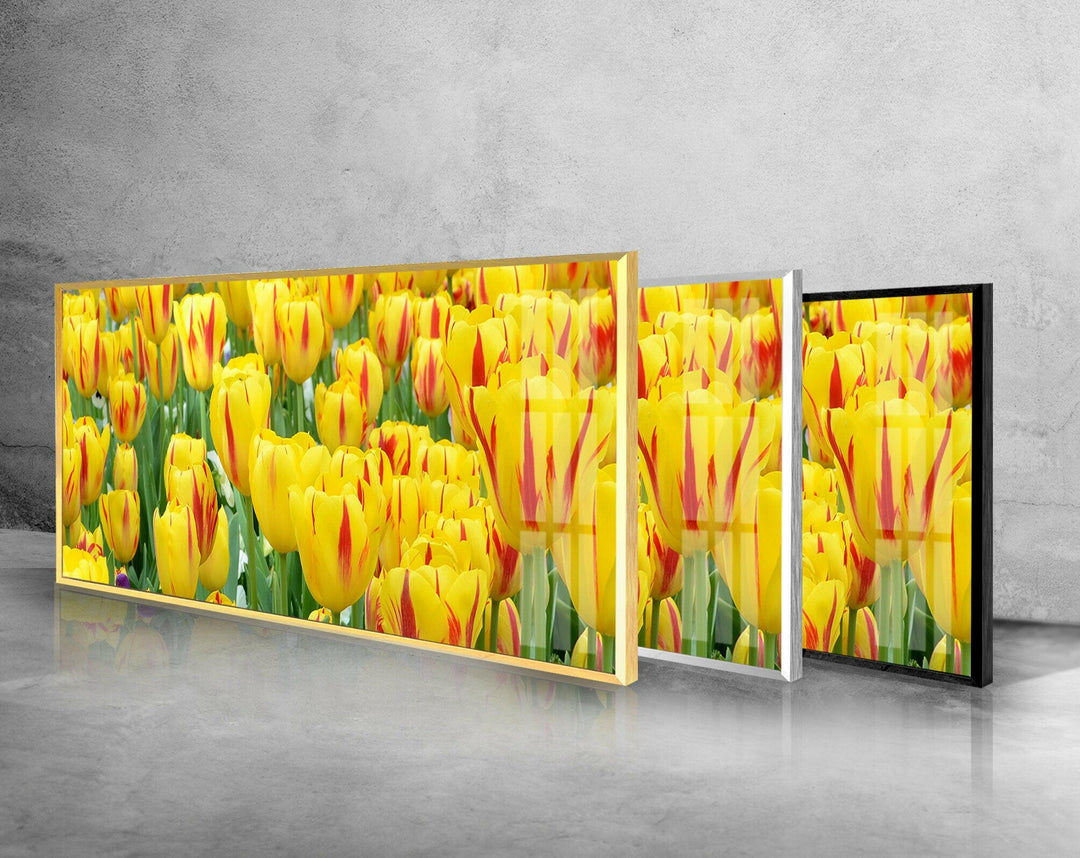 Yellow & Red Tulips Glass Wall Art, Glass Printing Wall Art, Print photos on glass