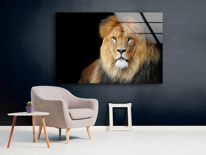 Old Lion Glass Wall Art picture on glass wall art, photos printed on glass