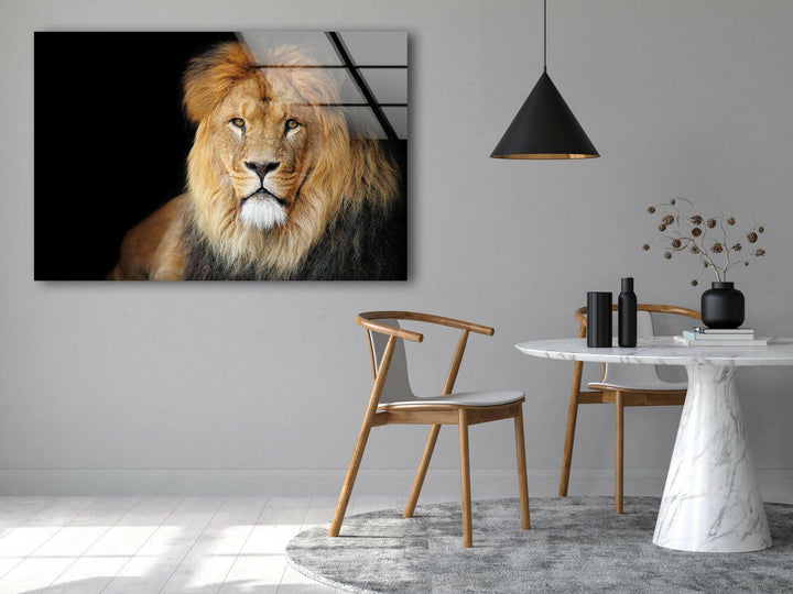 Old Lion Glass Wall Art custom glass photo prints, large glass prints