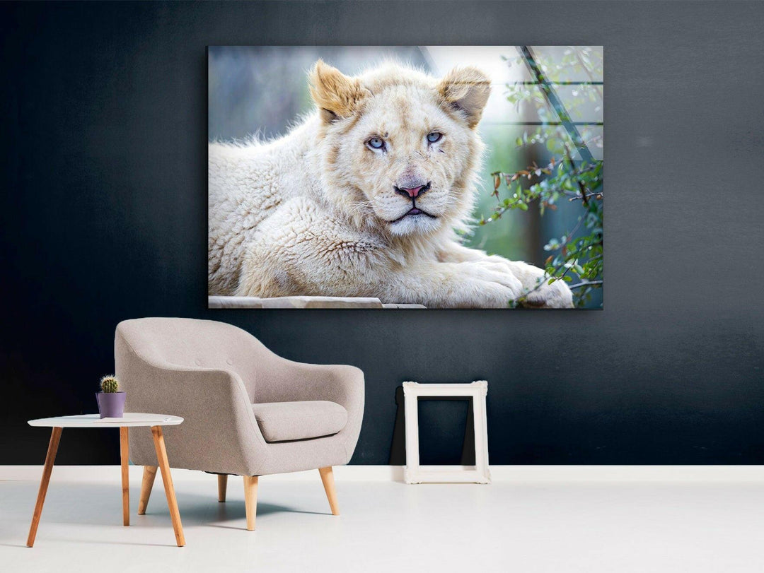 White Lion Portrait Glass Wall Art print on glass, glass printed photos