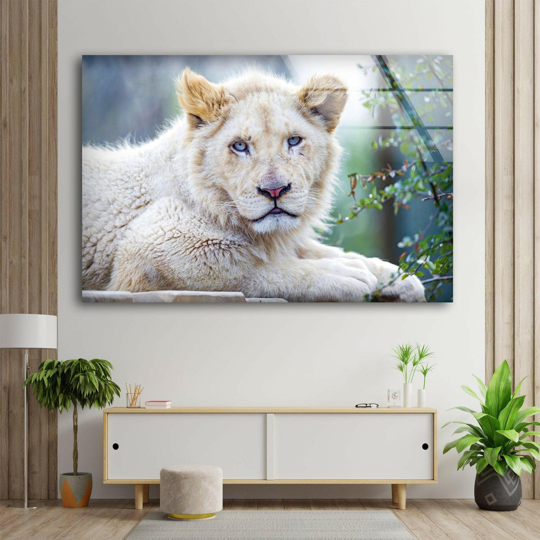 White Lion Portrait Glass Wall Art picture on glass wall art, photos printed on glass