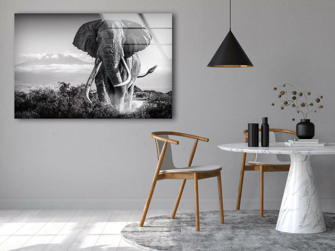 Old Elephant Running Glass Wall Art large glass photo prints, glass wall photos