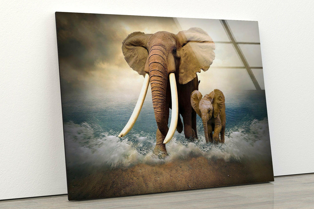 Ocean Elephants Glass Wall Art large glass photo prints, glass wall photos