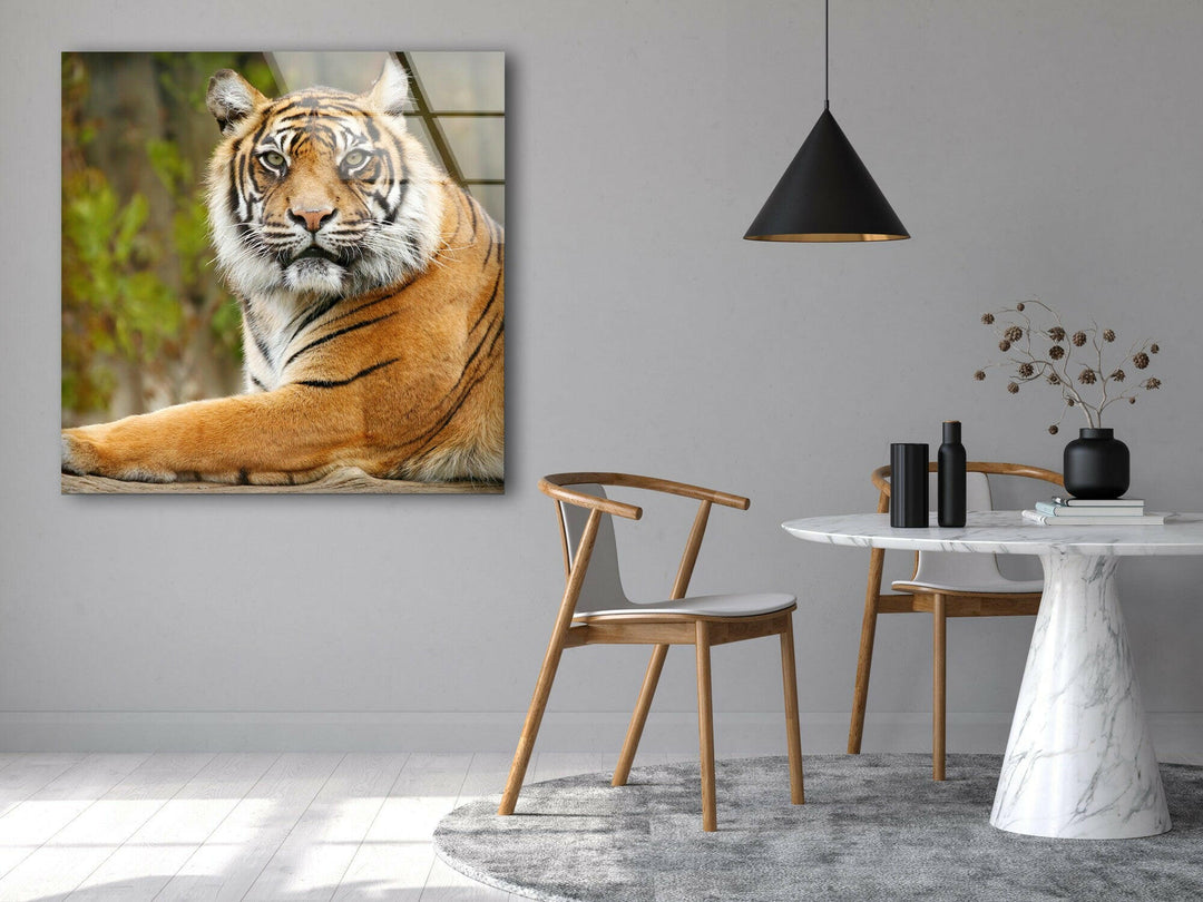 Tiger View Glass Wall Art glass image printing, glass prints from photos