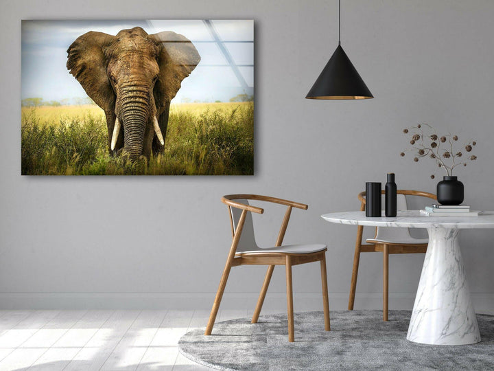 Safari Elephant Glass Wall Art picture on glass wall art, photos printed on glass