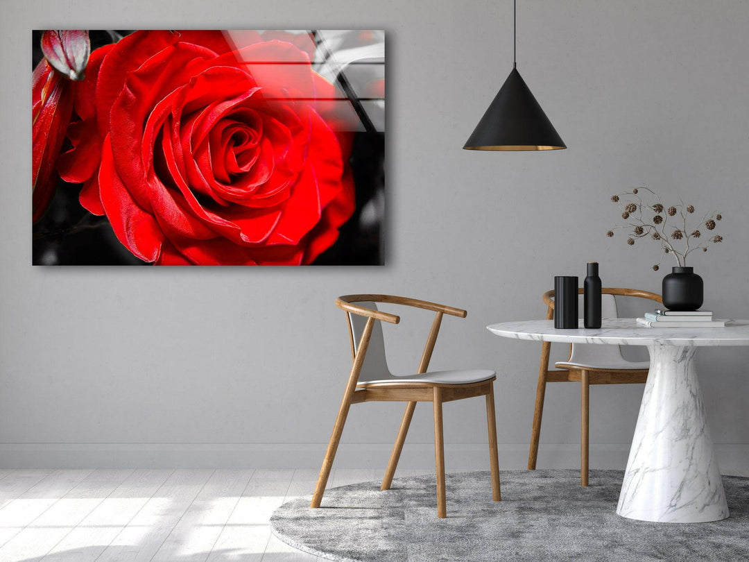 Red Rose Closeup Glass Wall Art, glass pictures for Wall, glass prints wall art