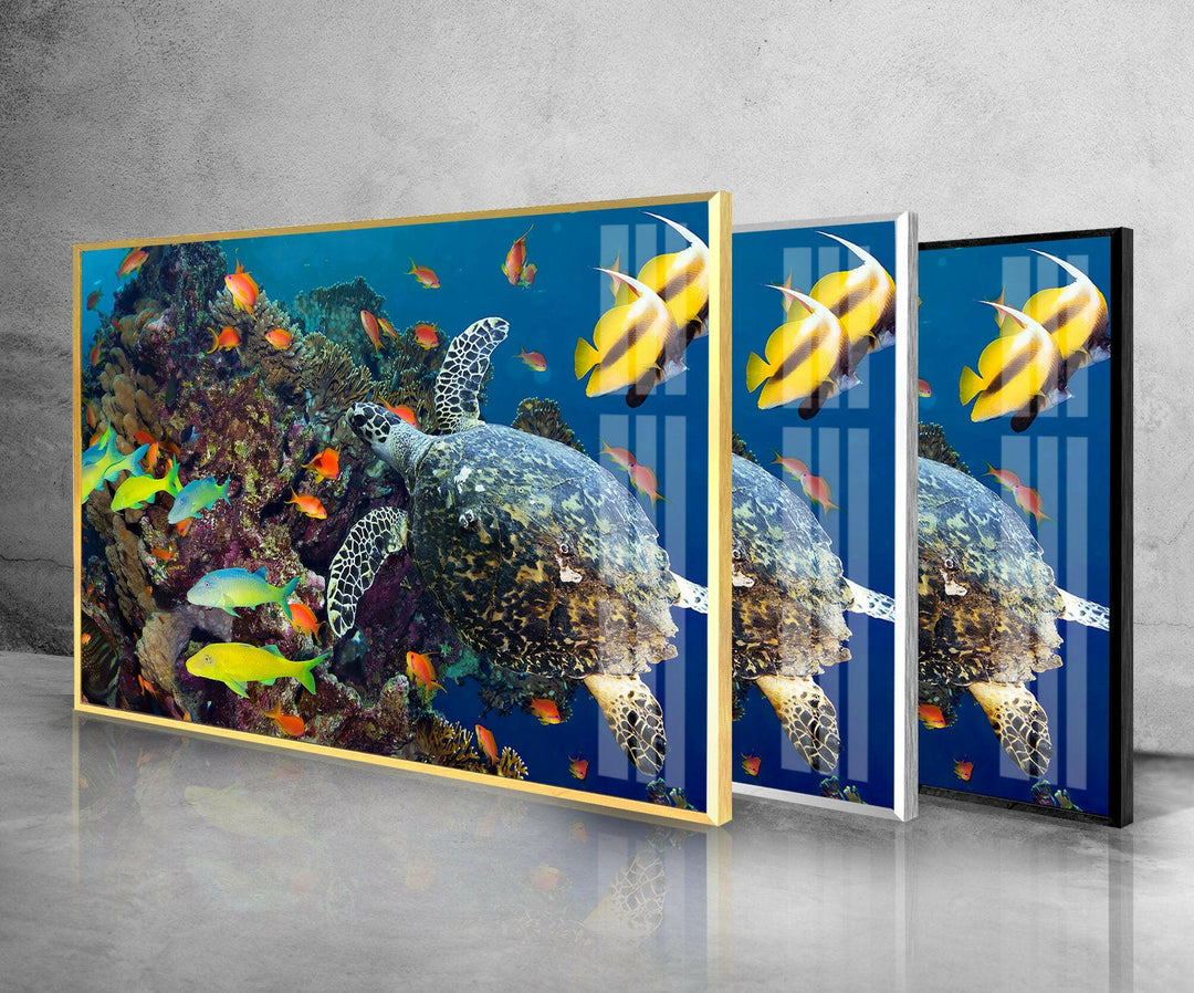 Undersea Fishes Glass Wall Art print picture on glass, Tempered Glass Wall Art