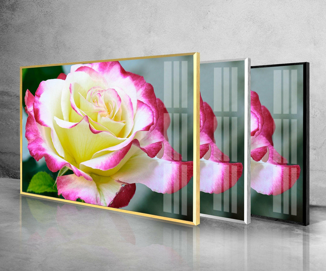 Vivid Yellow Rose Glass Wall Art, glass image printing, glass prints from photos