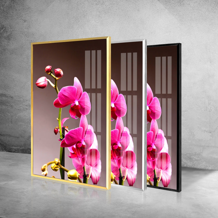 Pink Orchid Glass Wall Art, Glass Printing Wall Art, Print photos on glass