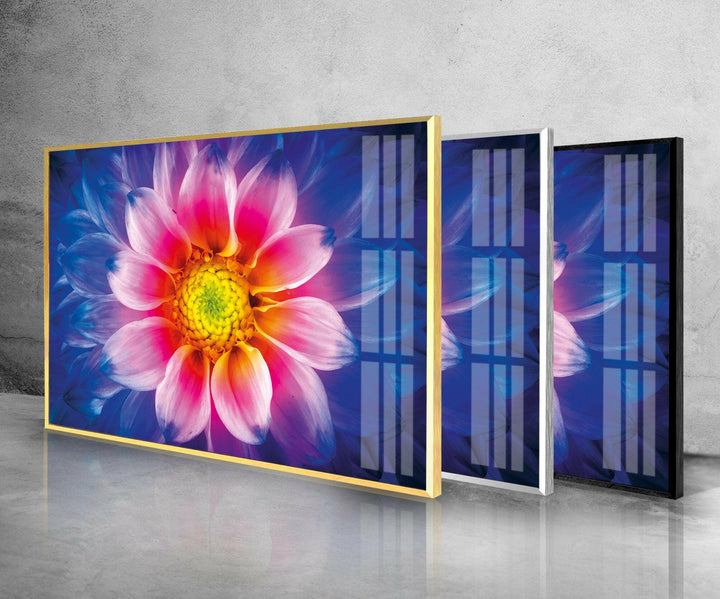 Colorful Chrysanthemum Flower Glass Wall Art, photo print on glass, prints on glass wall art