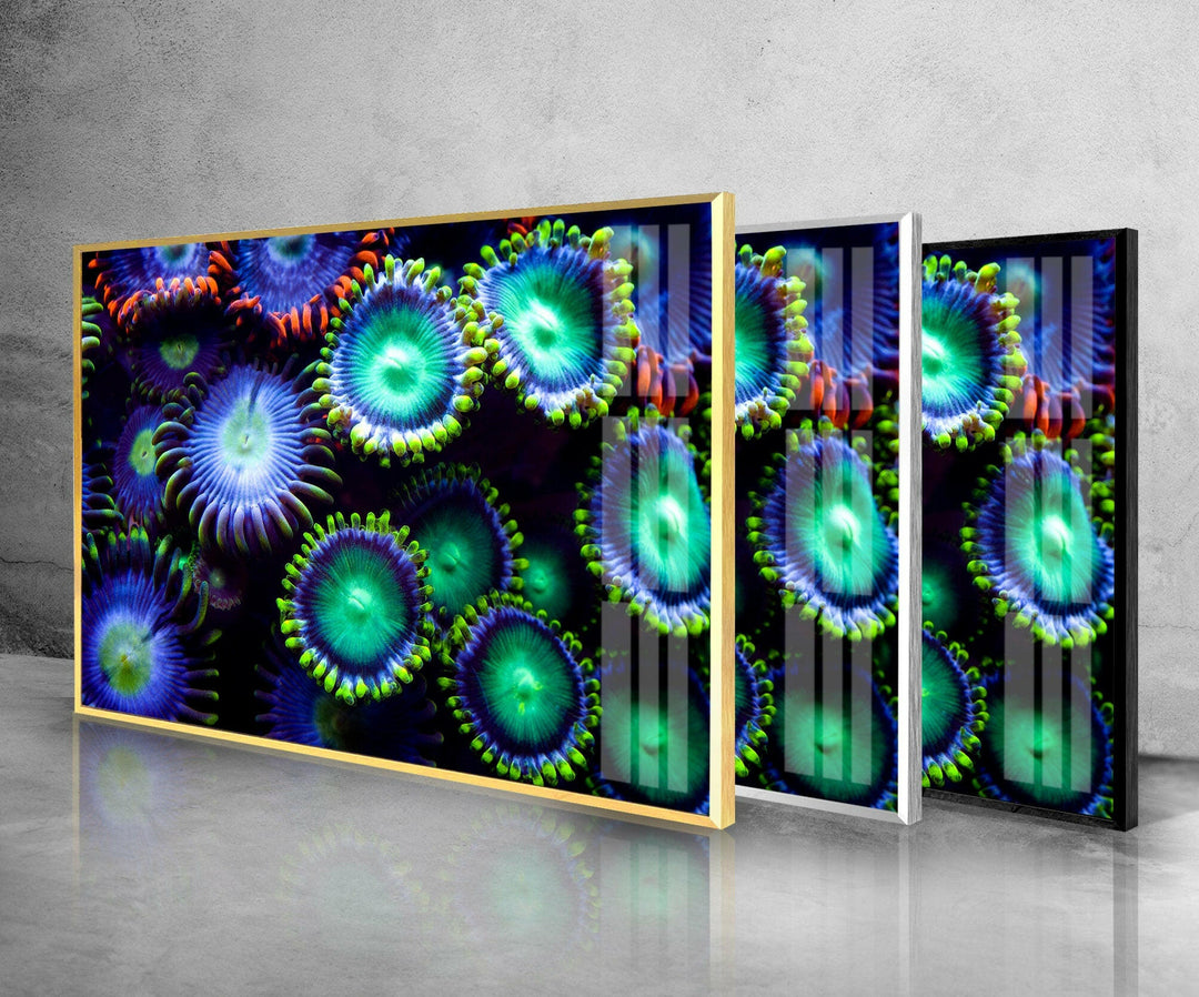 Neon Coral Glass Wall Art large glass photo prints, glass wall photos