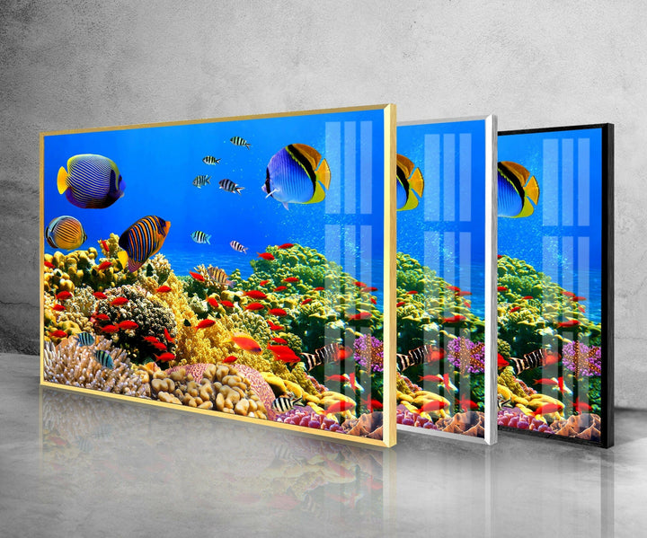 Fish at Aquarium Tempered Glass Wall Art - MyPhotoStation