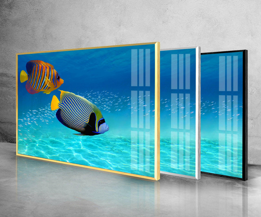 Underwater Fishes And Aquarium Glass Wall Art