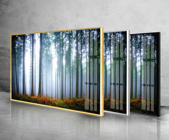 Foggy Forest Glass Wall Art