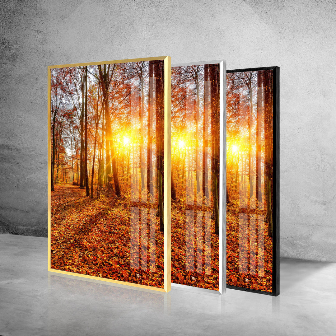 Spring Leaves Sunset Glass Wall Art glass image printing, glass prints from photos