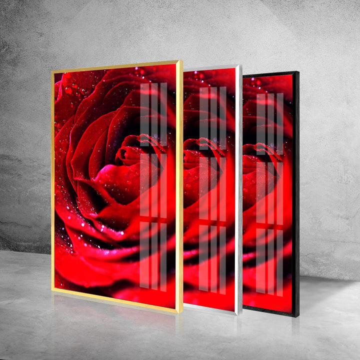 Red Rose With Water Drops Glass Wall Art, custom glass pictures, glass art prints