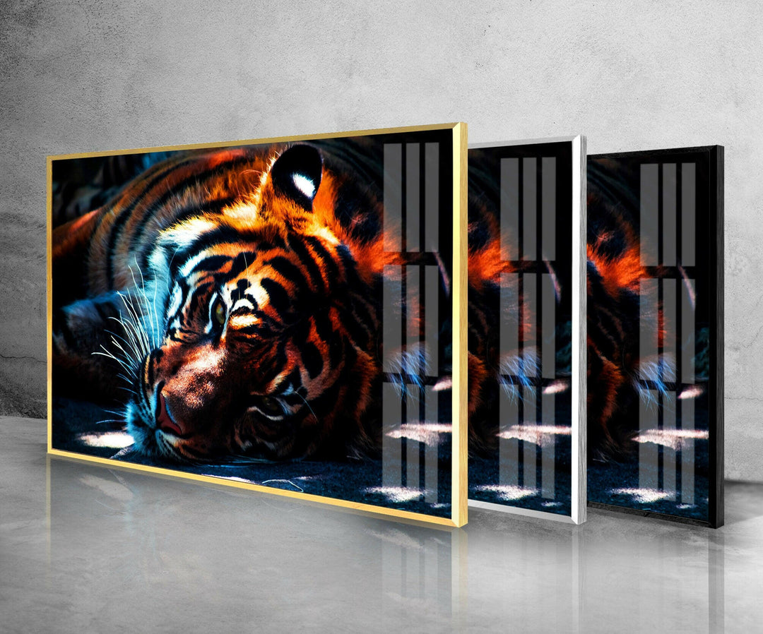 Dark Tiger Glass Wall Art picture on glass wall art, photos printed on glass