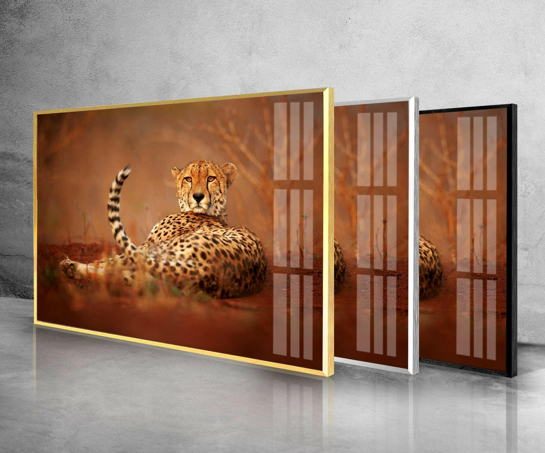 Cheetah in The Savanna Glass Wall Art glass photo prints, glass picture prints