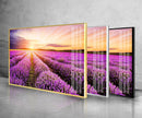 Purple Lavender Field Tempered Glass Wall Art