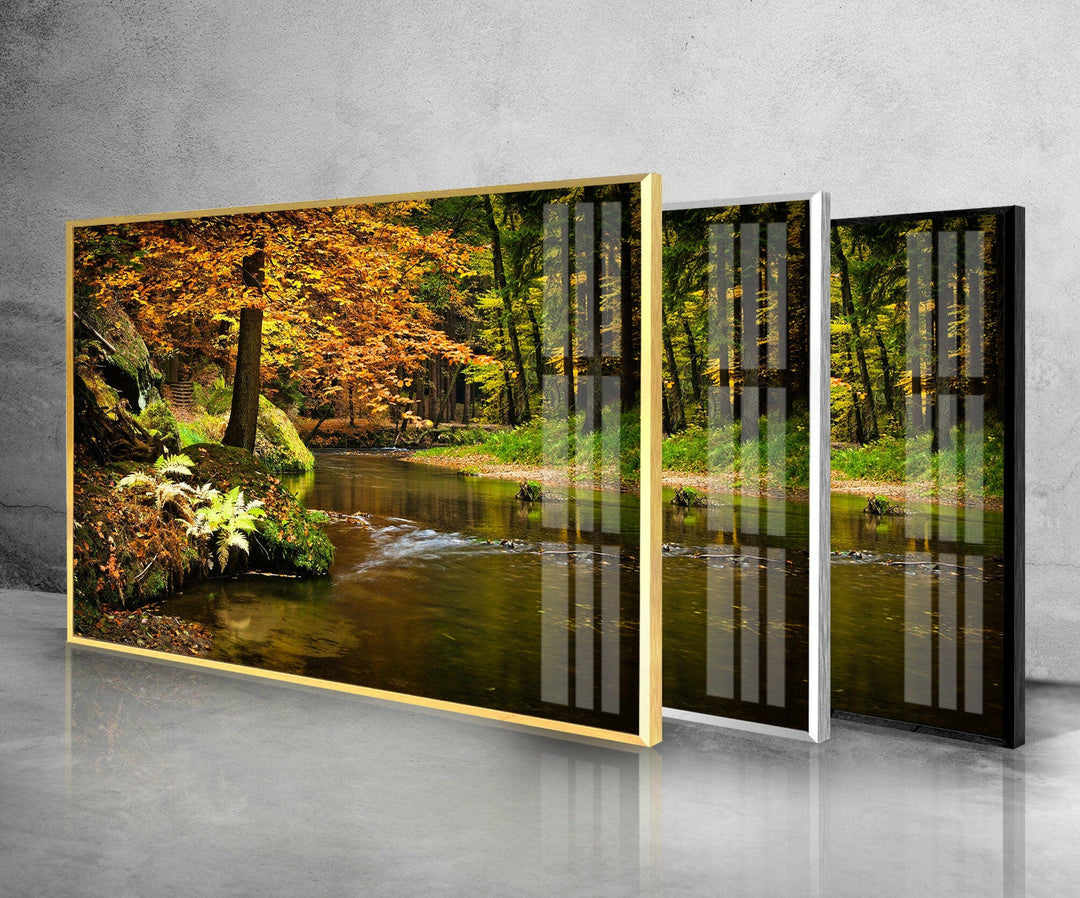 River in The Forest Glass Wall Art custom glass photo prints, large glass prints