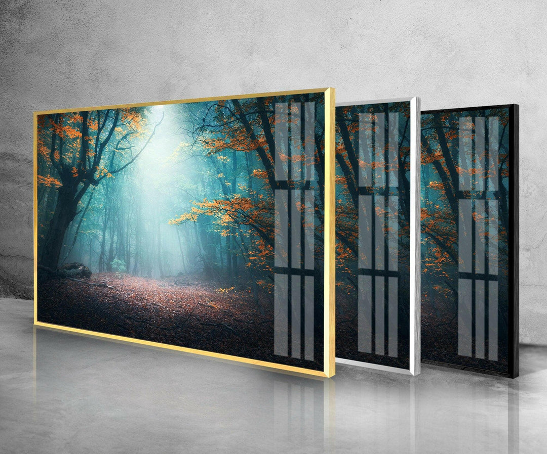 Mystical Forest In Blue Fog Glass Wall Art glass photo prints, glass picture prints