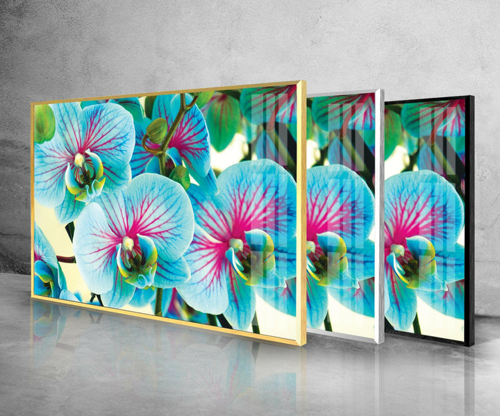 Blue & Pink Orchids Flowers Glass Wall Art, custom glass pictures, glass art prints