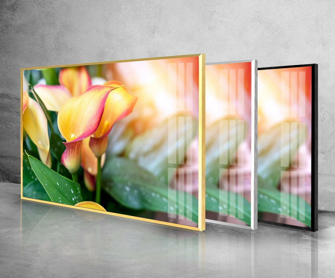 Colorful Calla Lilies Glass Wall Art, glass pictures for Wall, glass prints wall art