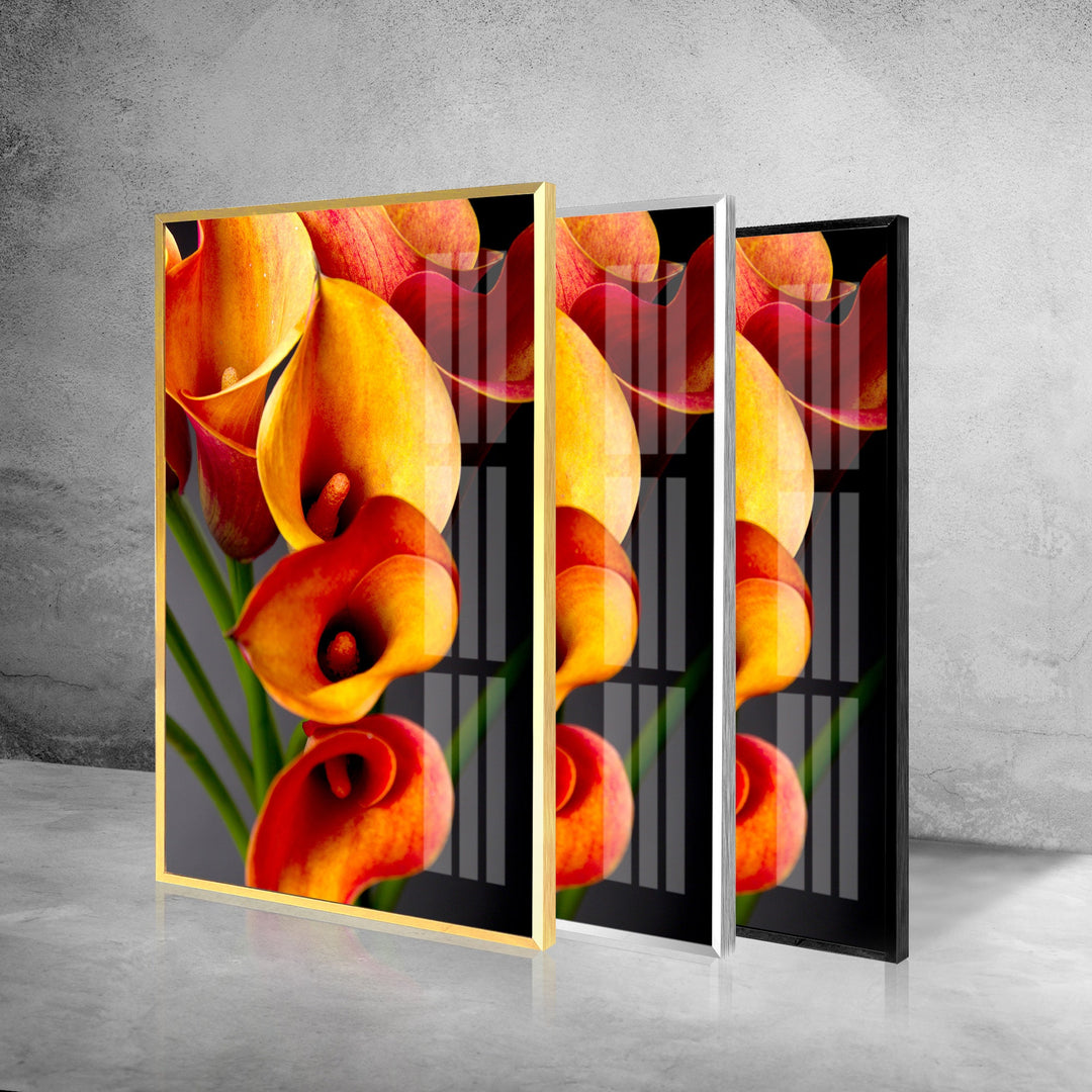 Orange Calla Lilies Glass Wall Art, custom glass pictures, glass art prints