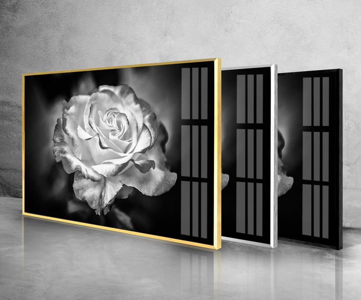 Black - White Rose Glass Wall Art, glass pictures for Wall, glass prints wall art