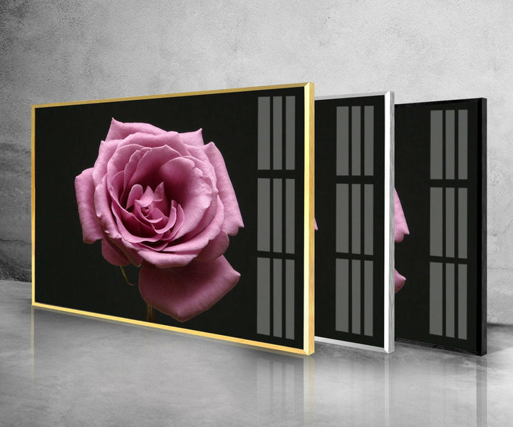 Pink Rose On Black Glass Wall Art, glass pictures for Wall, glass prints wall art