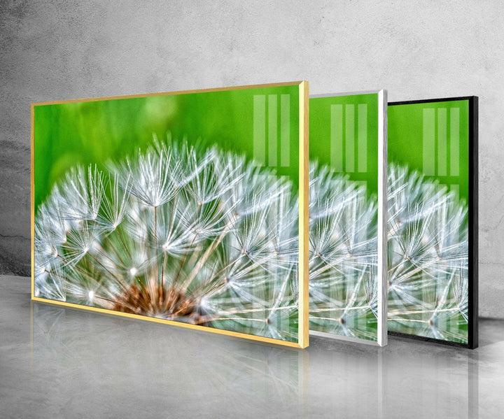 White Dandelion Seed Glass Wall Art, photo print on glass, prints on glass wall art