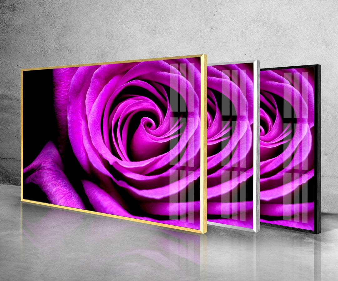 Big Purple Rose Glass Wall Art, glass photo prints, glass picture prints
