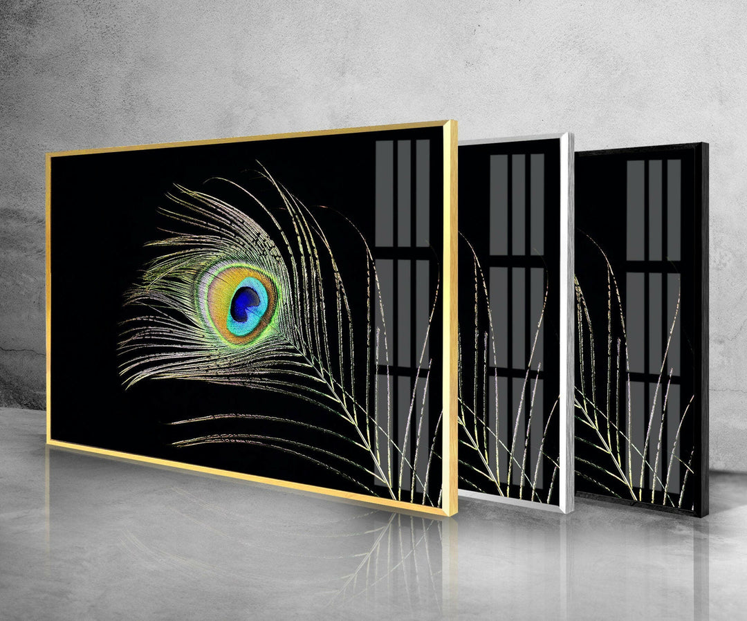 Peacock Feather Tempered Glass Wall Art - MyPhotoStation