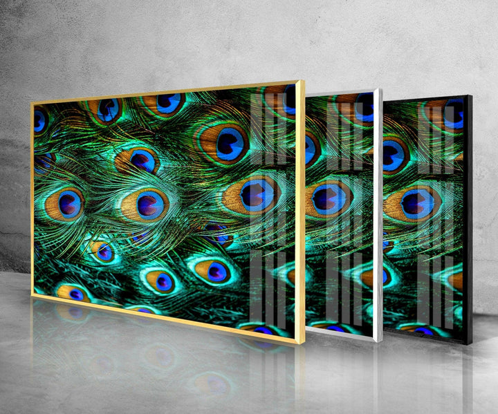 Peacock Feathers Tempered Glass Wall Art - MyPhotoStation