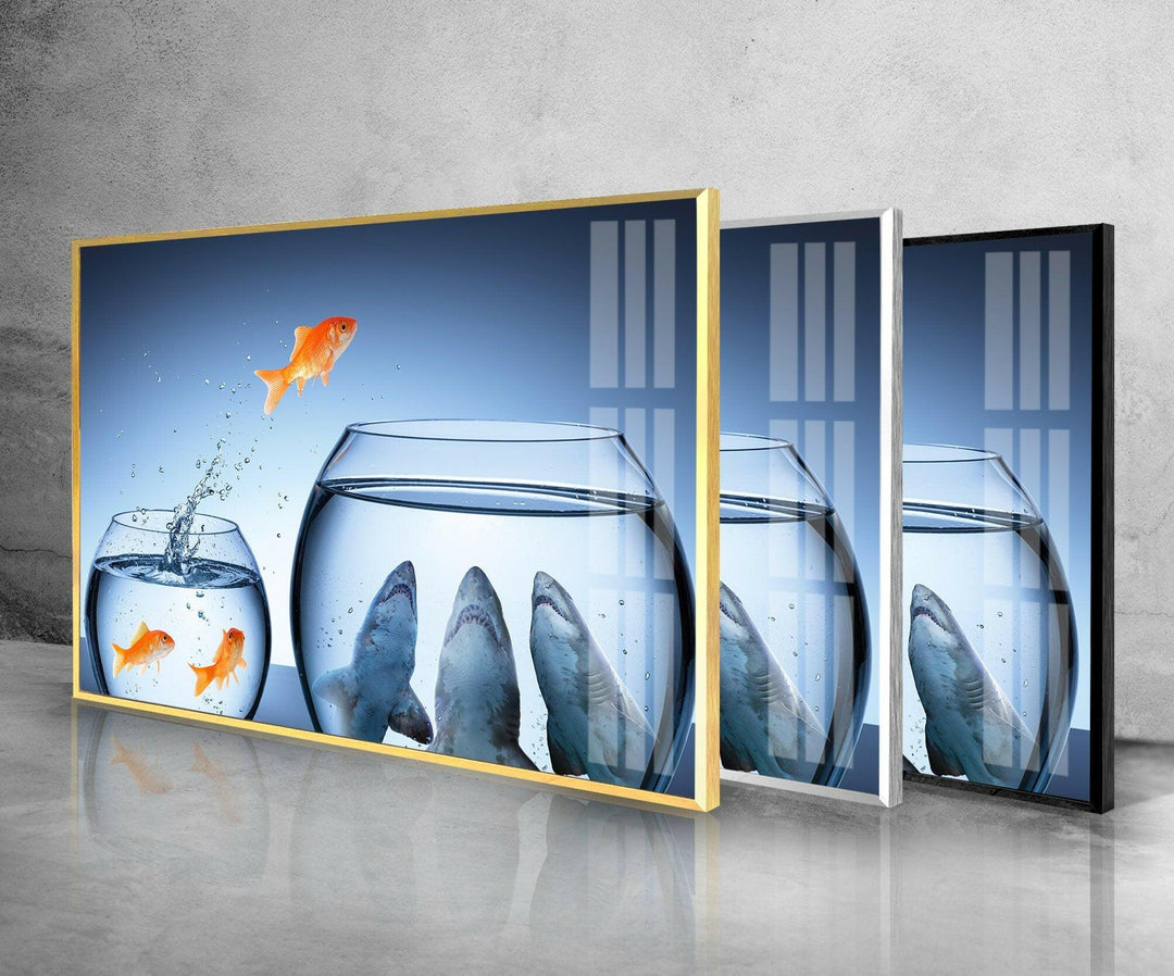 Goldfish Shark Glass Wall Art print picture on glass, Tempered Glass Wall Art