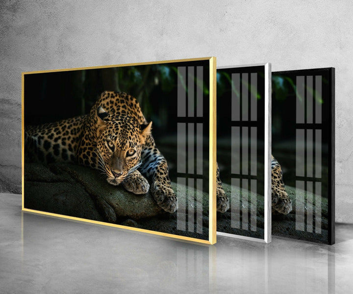 Fierce Leopard Glass Wall Art photo print on glass, prints on glass wall art