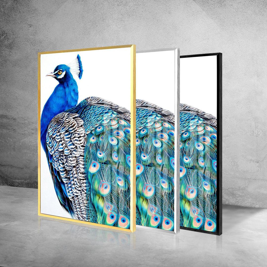 Peacock Portrait Glass Wall Art glass photo prints, glass picture prints