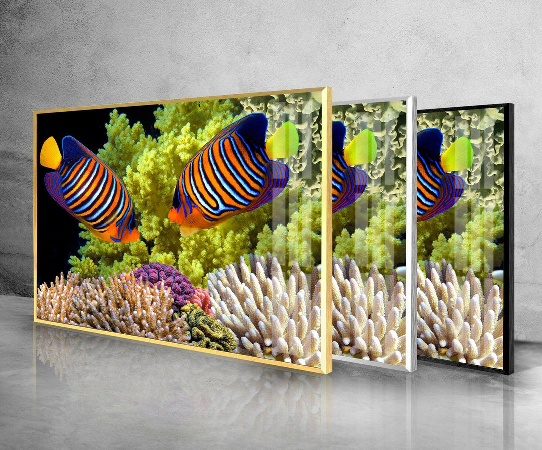 Polyp Butterflyfish Glass Wall Art photo print on glass, prints on glass wall art