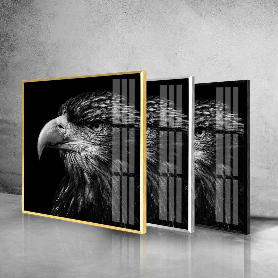 Eagle Portrait Glass Wall Art glass art painting, glass art for the Wall