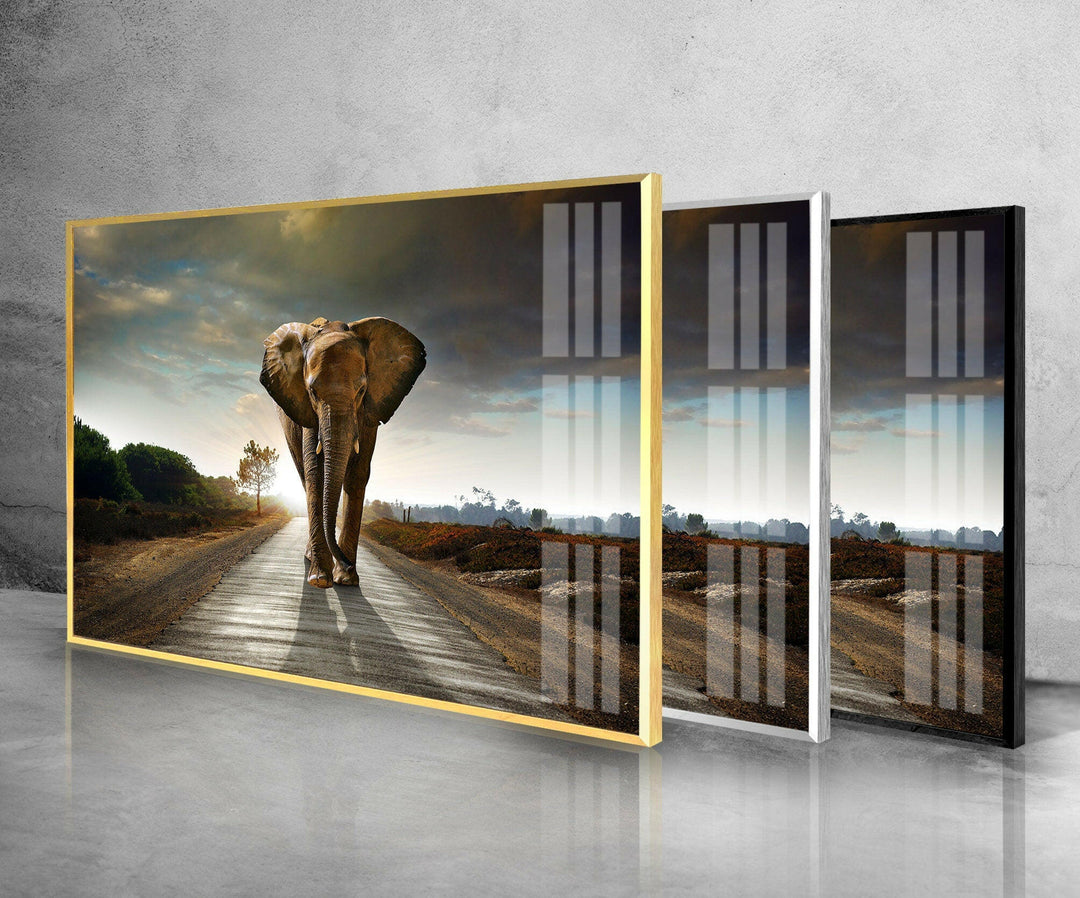 Vivid Elephant Art Glass Wall Art large glass photo prints, glass wall photos