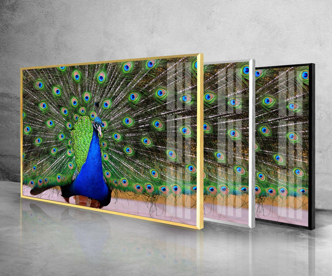 Peacock Feather Art Glass Wall Art photo print on glass, prints on glass wall art