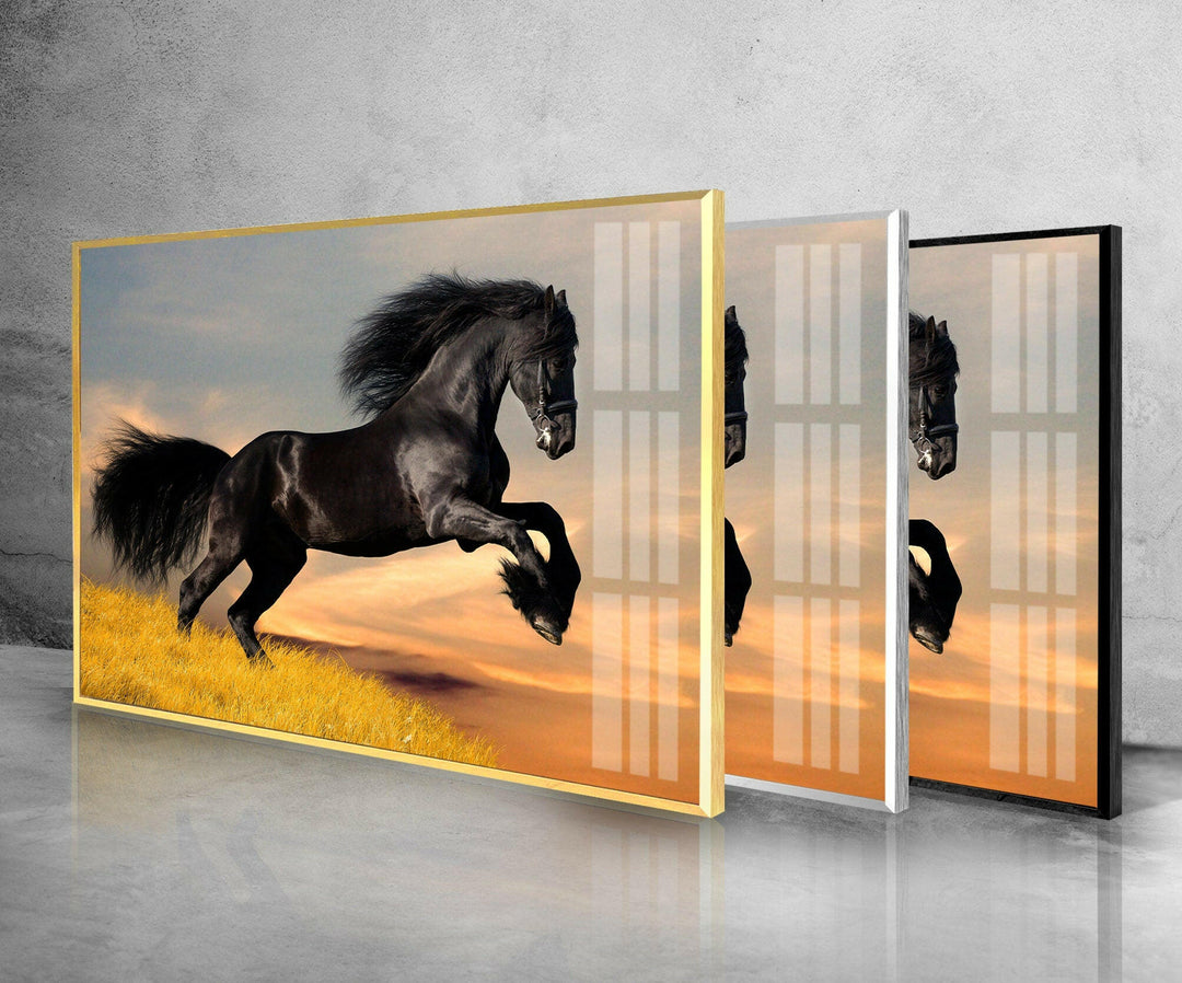 Big Black Horse Glass Wall Art print on glass, glass printed photos