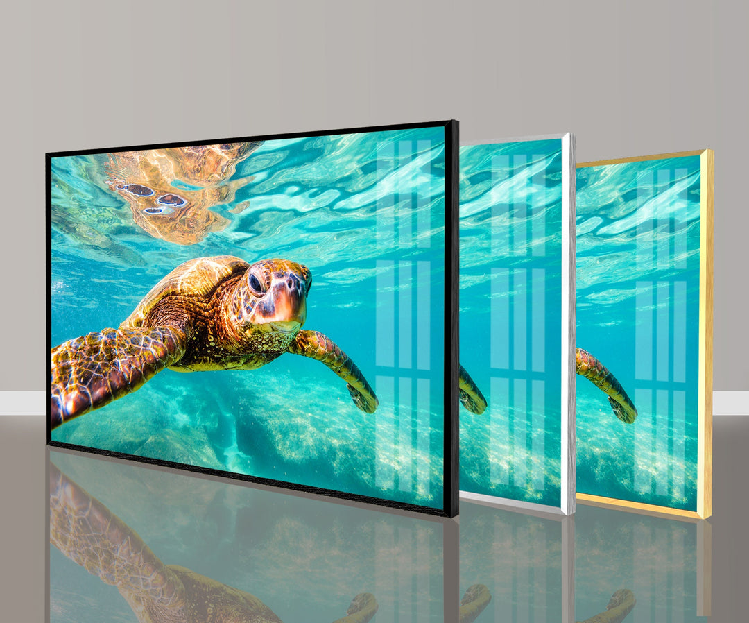 Sea Turtle Swimming Glass Wall Art glass art painting, glass art for the Wall