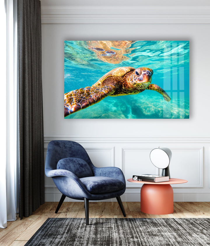 Sea Turtle Swimming Glass Wall Art custom glass photo prints, large glass prints